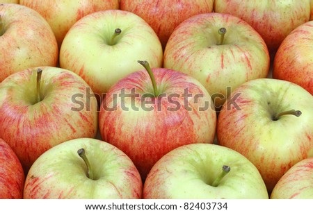 Close view of several rows of fresh gala apples.
