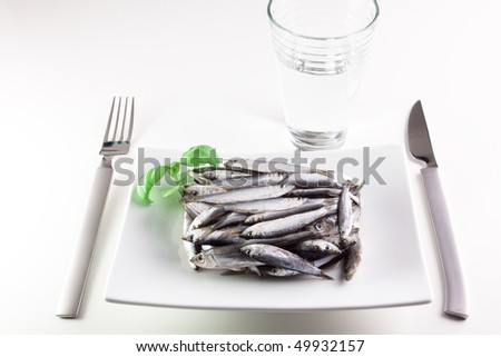 frozen fish on white plate