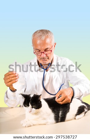 Veterinarian male doctor making an  infusion therapy to a cat on blue yellow background.