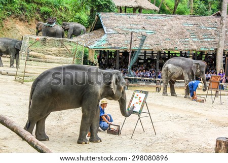 Muang District, Chiang Mai, Thailand - July 25, 2011: Elaphant drawing a flowers paint. Elephant show at Maesa Elephant Camp