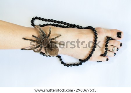 Chilean rose or flame tarantula on the bare foot of a woman with an ankle necklace.