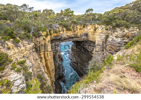 Tasman Arch is an unusual geological formation found in the Tasman National Park, Tasman Peninsula in the south east coast of Tasmania, Australia.