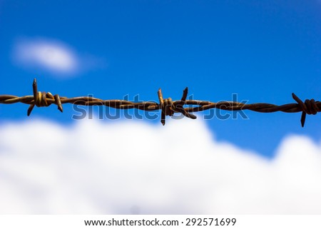 barbed Wire on blue sky and white cloud