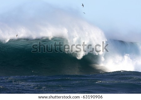 Sydney Australia Surfing