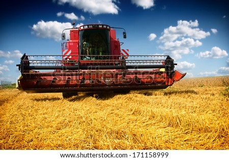 Combine harvester harvesting wheat on sunny summer day