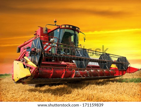 Combine harvester harvesting wheat on sunny summer day Combine harvester harvesting wheat on sunny summer day
