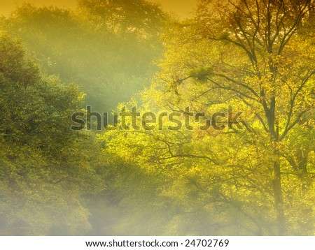 Golden Forest and Fog