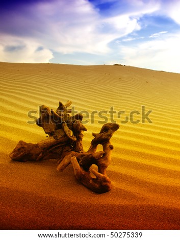 extreme terrain sahara desert