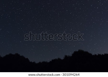 Starry night Ursa Major,Big Dipper constellation Beautiful night sky