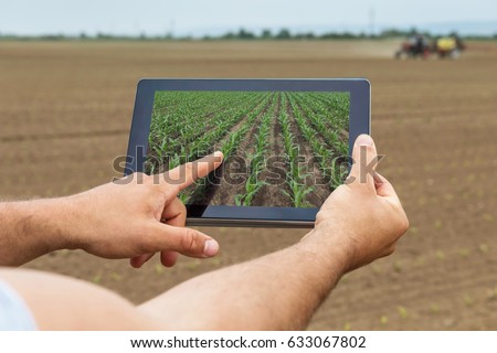 Smart agriculture. Farmer using tablet corn planting. Modern Agriculture concept.