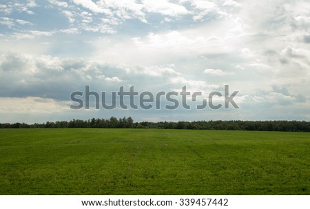 Green field lined by trees on cloudy  day