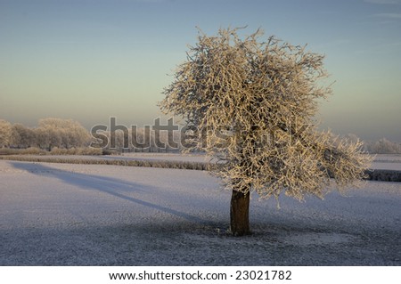 snow and ice covered landscape with clear blue sky