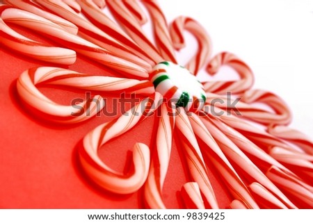 Puppies And Candy Canes. Circular Candy canes