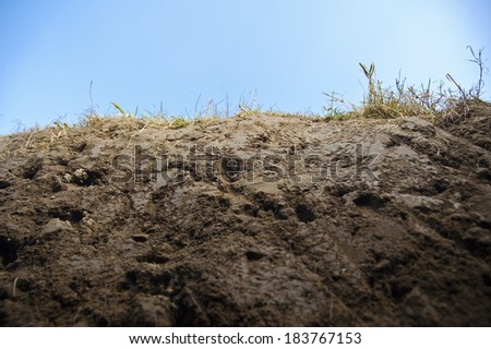 Cross section of earth with grass - closeup, frog view, cloudy sky behind.