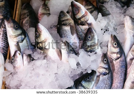 Fish in ice at the fish market
