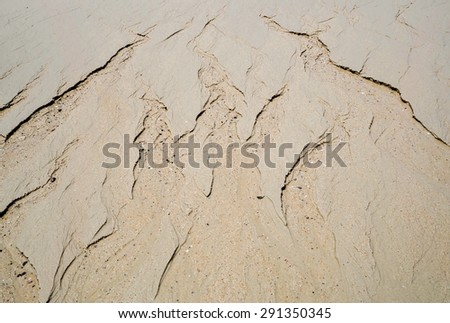 Art of sand on the beach