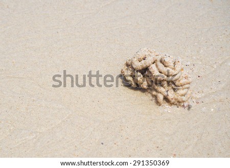 Art of sand on the beach