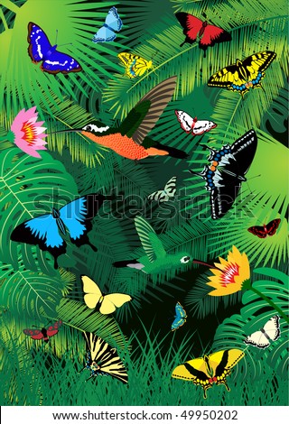 Tropical Rainforest Birds on Vector   Vector Tropical Rainforest With Humming Birds And Butterflies