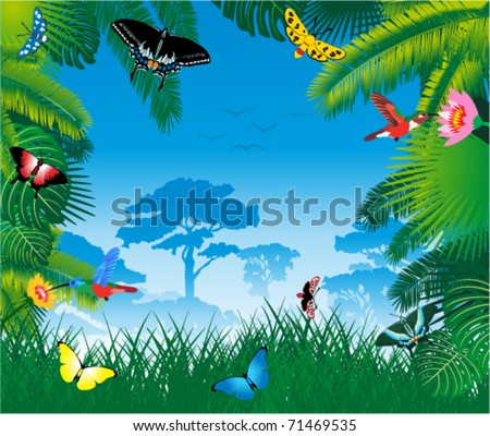 Tropical Birds Flying on Vector   Vector Tropical Rainforest With Humming Birds And Butterflies
