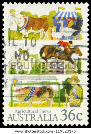 AUSTRALIA - CIRCA 1987: A stamp printed in AUSTRALIA shows the Livestock, Agricultural Shows series, circa 1987