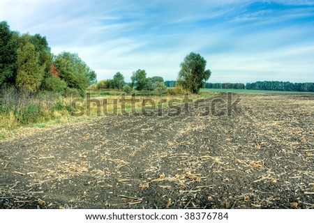 Autumn landscape with field and trees. HDR image