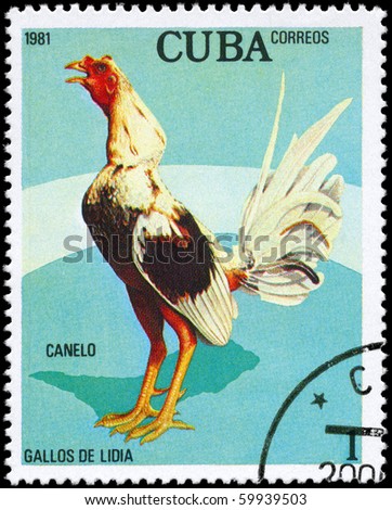 CUBA - CIRCA 1981: A Stamp shows image of a Rooster with the designation 