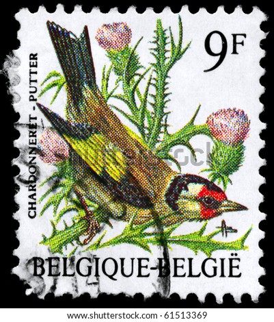 stock-photo-belgium-circa-a-stamp-shows-image-of-a-goldfinch-from-the-series-birds-circa-61513369.jpg