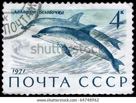 USSR - CIRCA 1971: A Stamp printed in USSR shows image of a Common Dolphin from the series \