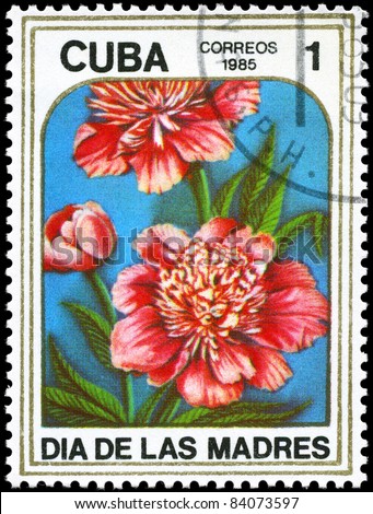 CUBA - CIRCA 1985: A Stamp printed in CUBA shows image of a Peonies, from the series \