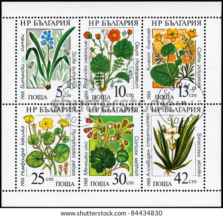 BULGARIA - CIRCA 1988: A Stamp sheet printed in BULGARIA shows set of the Flowers, from the series \