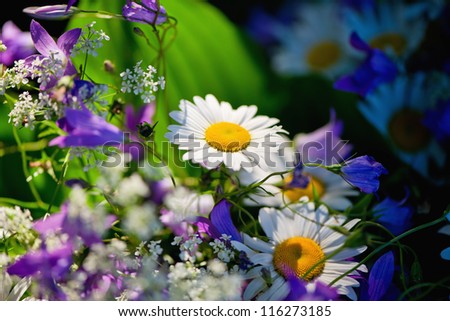 Close-up of summer wildflowers bouquet