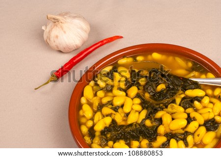 Vegetarian bean stew with fresh spinach leaves