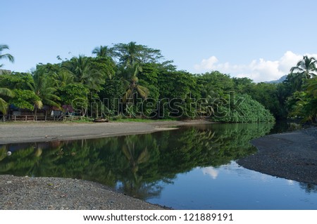 Mouth of  a tropical river coming out of lush jungle vegetation