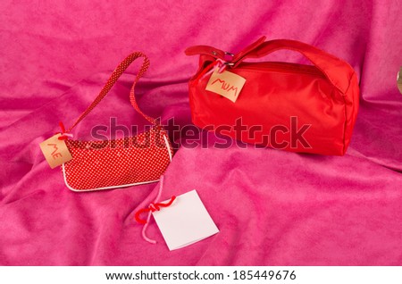 Small bag and big bag, a mothers day concept