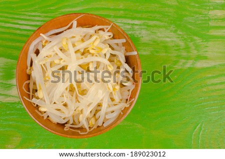 A bowl full with fresh organic soy sprouts