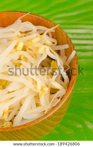 A wooden bowl with fresh soy sprouts