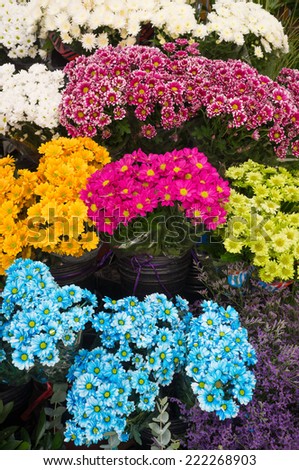 Assorted flowers at a street market stall