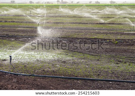 System of  agricultural sprinklers spraying a field