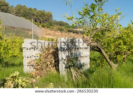Agricultural burner made of concrete blocks and filled with waste from pruning citrus trees
