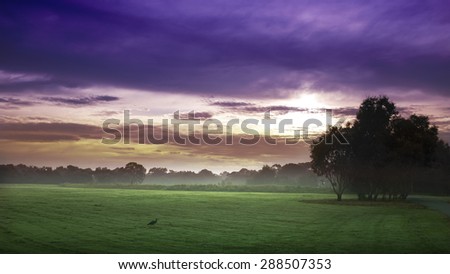 Morning sun in the open space or park with vivid and vibrant sky.