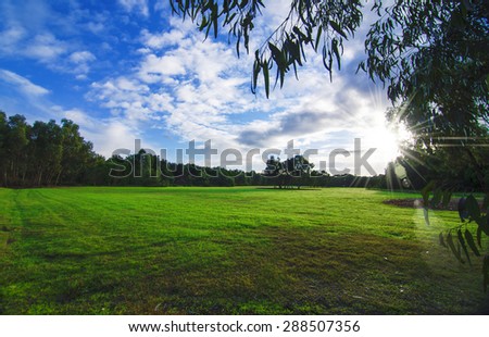 Beautiful park with blue sky and the Sun, a vast of green land and trees.