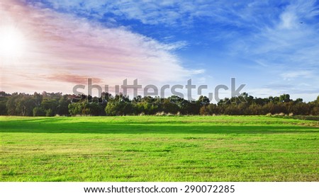 Beautiful park with blue sky and sun, a vast of green land and trees.