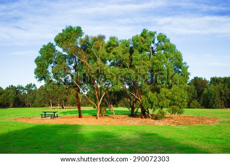 Beautiful park with blue sky with a group of trees, a vast of green land and trees.