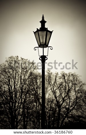 Old style street lantern with trees in background