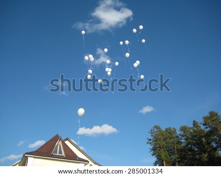 balloons fly into the sky