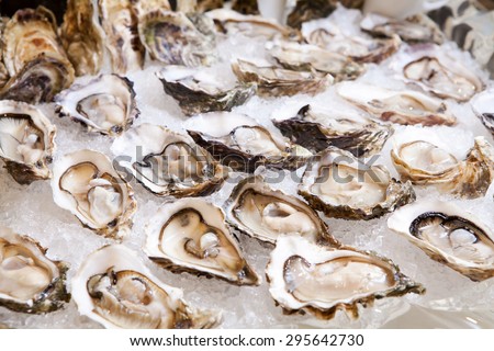 Oysters on ice, Seafood buffet line in hotel restaurant