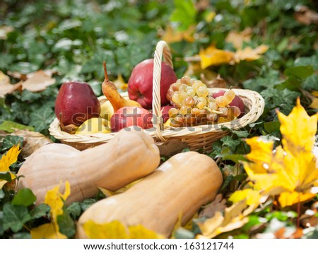 Different fruits and vegetables in basket on green grass. Autumn harvest vegetables outdoor (grapes, apples, pumpkin). Autumnal harvest vegetables and fruits in basket in a park. Thanksgiving