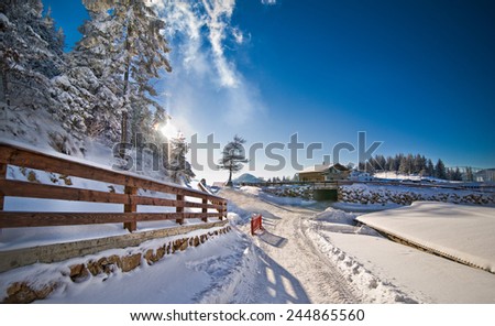 Narrow road covered by snow at countryside. Winter landscape with snowed trees, road and wooden fence. Cold winter day at countryside. Traditional Carpathian mountains village scenery, Romania