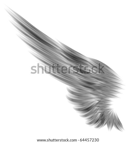 The Isolated Wing On White Background Stock Photo 64457230 : Shutterstock