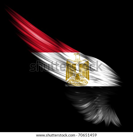 wing with Egypt flag on
